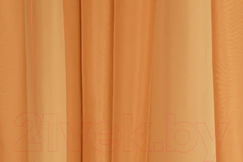 Комплект гардин Delfa СТШ/Д-050 Voile/8819 (200x270, оранжевый)