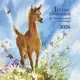 Календарь настенный АСТ Познавательный календарь. Лесные тропинки. 2026 (9785171742126) — фото 5