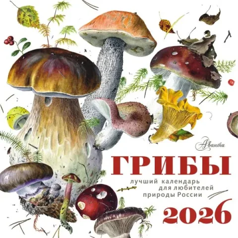 Календарь настенный АСТ Грибы. 2026 год (9785171739638)