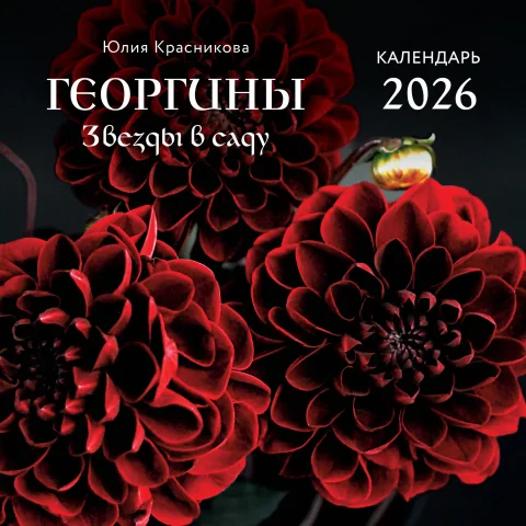 Календарь настенный Эксмо Георгины Звезды в саду 2026 год (9785042170027)