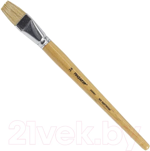 Кисть для рисования Пифагор Щетина 24 / 200881 (плоская)