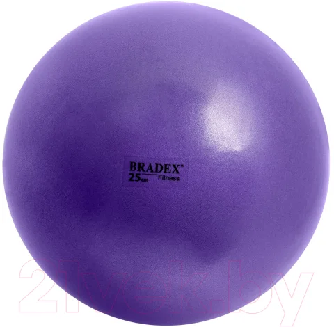 Гимнастический мяч Bradex Фитбол-25 / SF 0823 (фиолетовый)