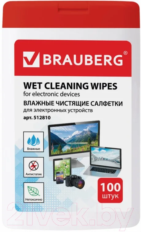 Салфетки для ухода за техникой Brauberg 512810 (100шт)