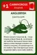 Дополнение к настольной игре Правильные Игры Эволюция / Evolution 13-01-02 (дополнение: Время летать) — фото 8