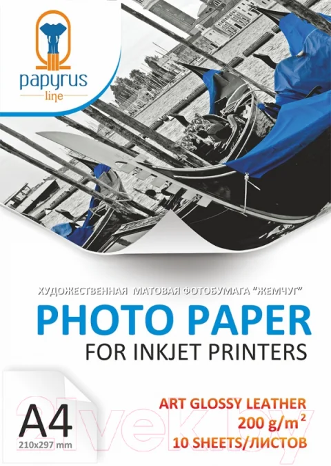 Фотобумага Papyrus АРТ Кожа A4 200 г/м2 / BN04341 (10л, глянцевый)