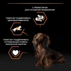 Влажный корм для собак Pro Plan Adult с говядиной в соусе (85г) — фото 10