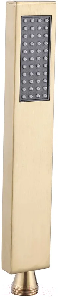Лейка ручного душа Abber AF0050G (золото матовое)