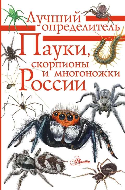 Энциклопедия АСТ Пауки, скорпионы и многоножки России (Гомыранов Илья)