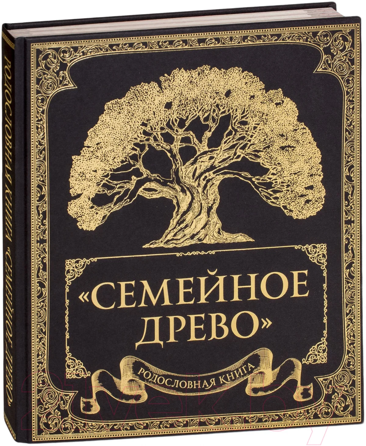 Родословная книга Эксмо Семейное древо (Юрченко О.)