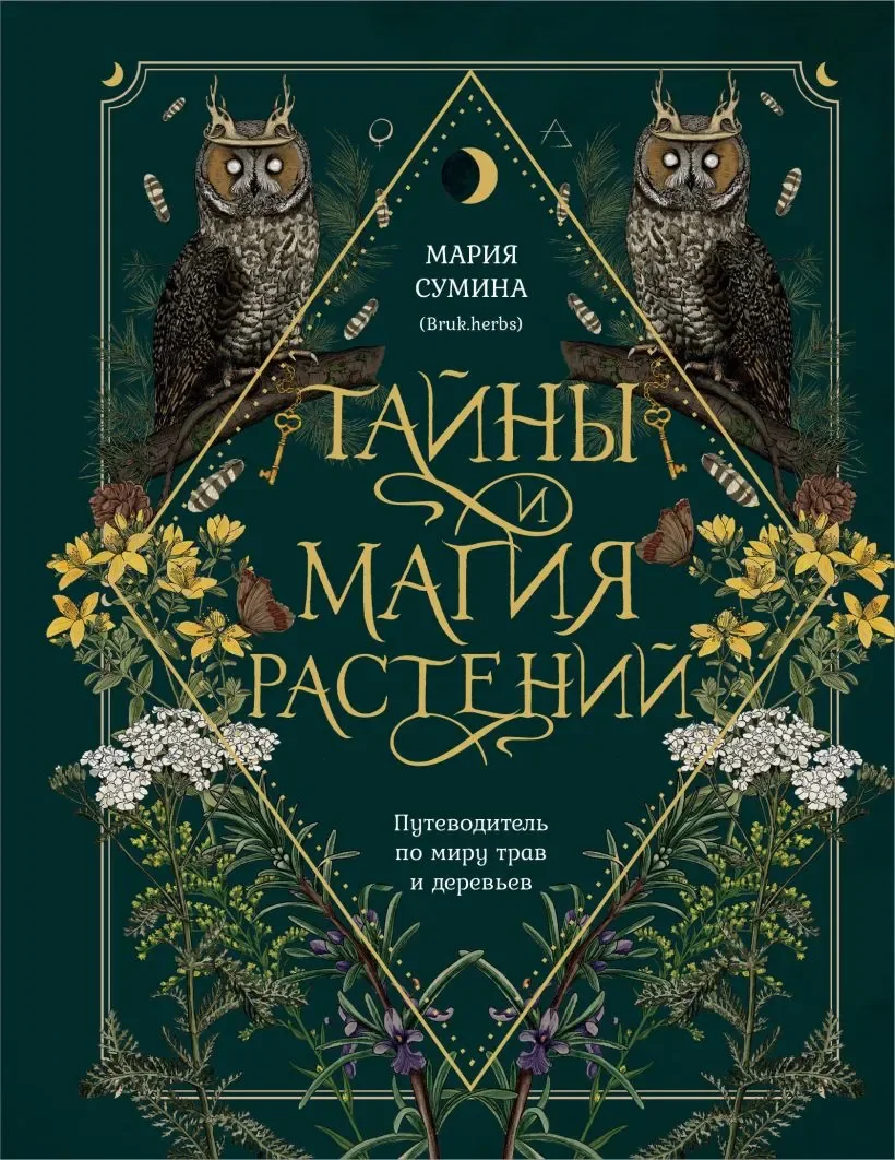 Подарочный набор Эксмо Подарок зеленой ведьме и травнице (Сумина М.А., 9785042188626)