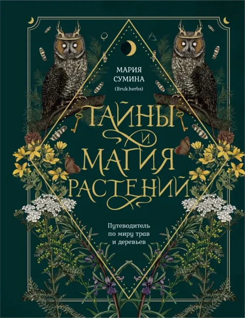 Подарочный набор Эксмо Подарок зеленой ведьме и травнице (Сумина М.А., 9785042188626)