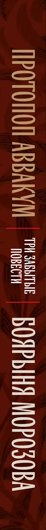 Книга Эксмо Протопоп Аввакум. Боярыня Морозова (Лукаш Иван, Семенов Михаил 9785042273292) — фото 3