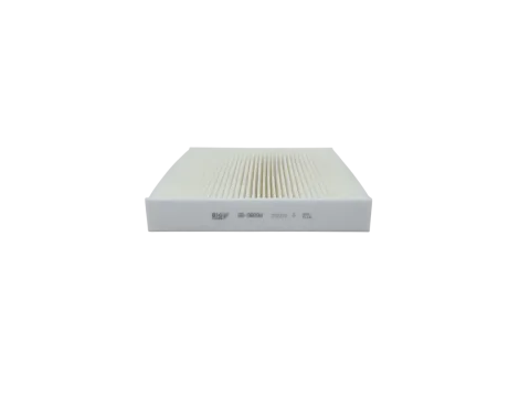 Салонный фильтр BIG Filter GB-98094