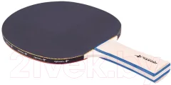 Ракетка для настольного тенниса Roxel Hobby Progress (коническая) — фото 2
