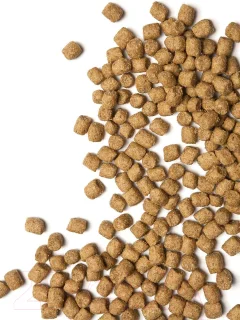 Сухой корм для кошек ProBalance Immuno с курицей и индейкой (400г) — фото 4