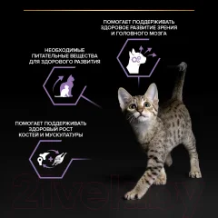 Влажный корм для кошек Pro Plan Junior с говядиной для котят (85г) — фото 3