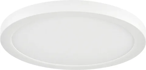 Потолочный светильник Sonex Nebula White 7790/18L