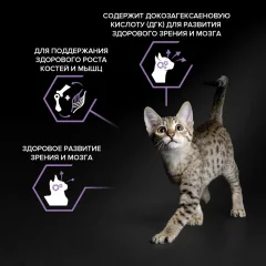 Сухой корм для кошек Pro Plan Junior с курицей (10кг) — фото 5