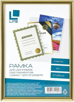 Рамка Lite RAMPL2/GL (золото) — фото 3