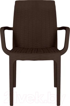 Стул пластиковый Ellastik Plast Rattan Ola Dom (коричневый) — фото 2