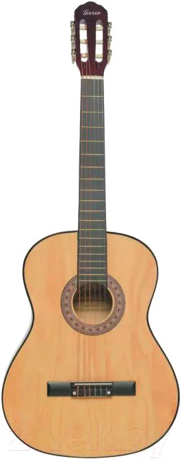 Акустическая гитара Terris TC-3901A NA