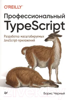 Книга Питер Профессиональный TypeScript (Черный Б.) — фото 1