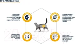 Сухой ветеринарный корм для кошек Advance VetDiet Renal Canine Formula (1.5кг) — фото 2