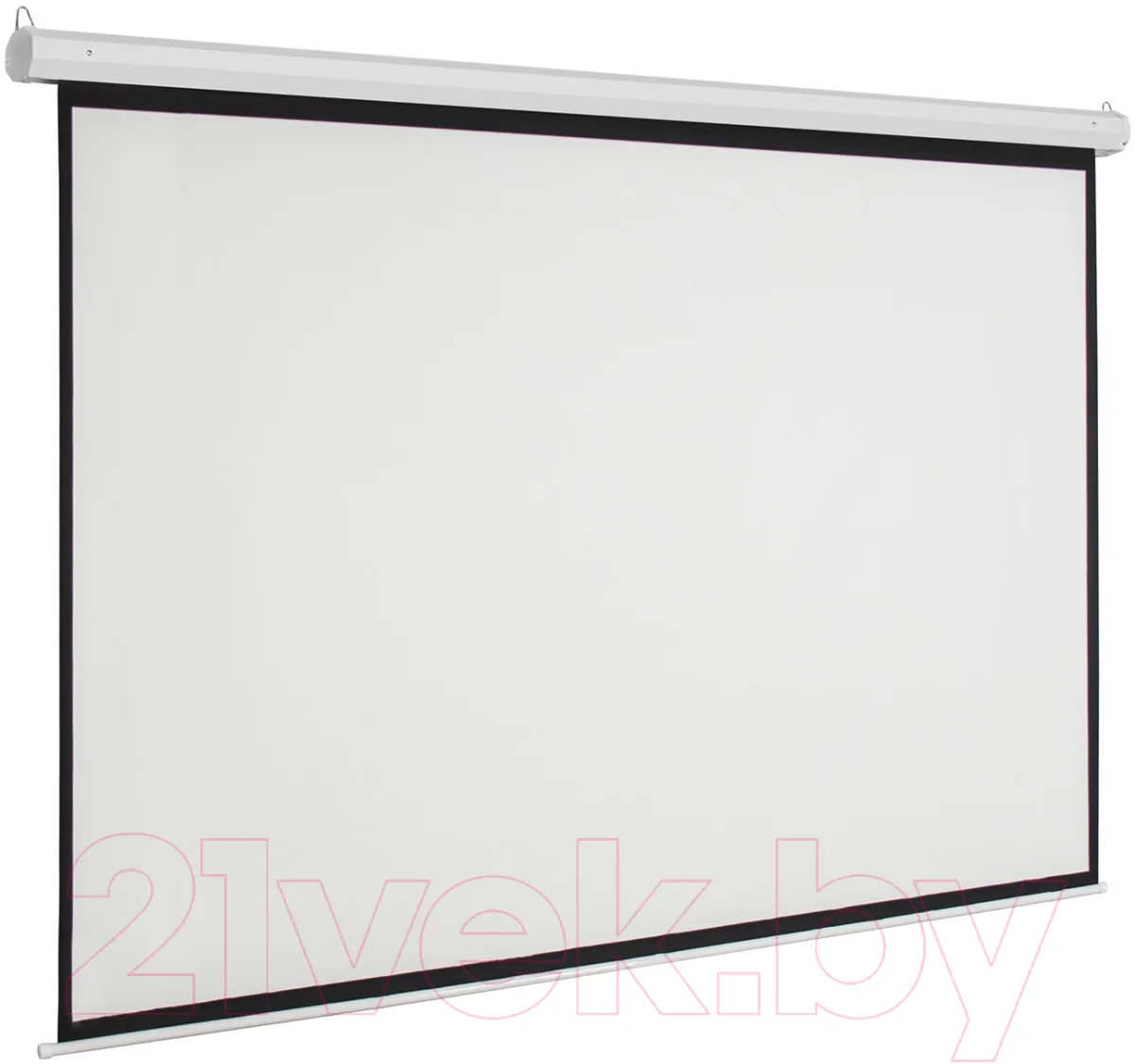 Проекционный экран Future Vision Video 200 W200VMW (200x150)